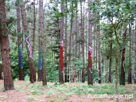 Bosque de Oma, Kortezubi (Bizkaia).